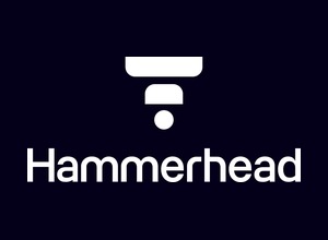 Hammerhead AI